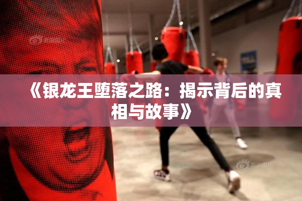 《银龙王堕落之路：揭示背后的真相与故事》