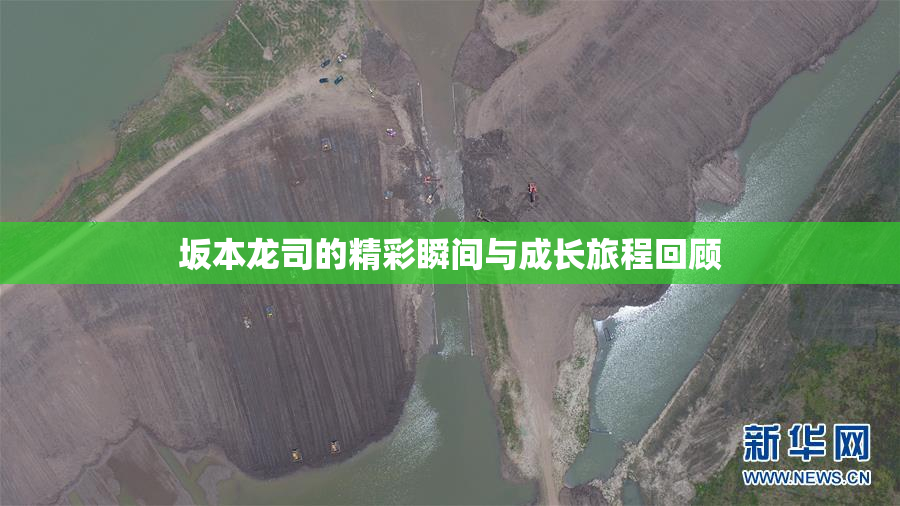 坂本龙司的精彩瞬间与成长旅程回顾