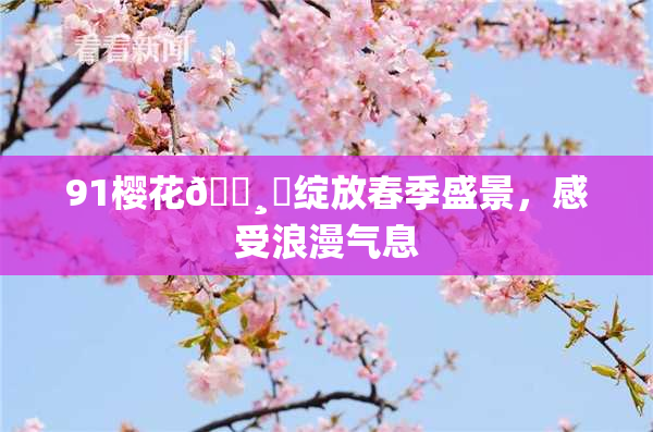91樱花🌸‌绽放春季盛景，感受浪漫气息