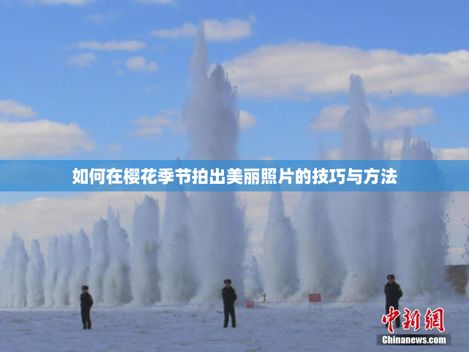 如何在樱花季节拍出美丽照片的技巧与方法