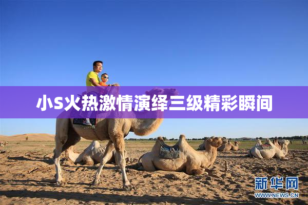 小S火热激情演绎三级精彩瞬间