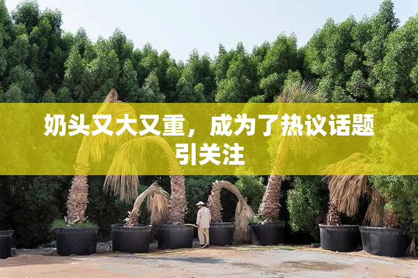 奶头又大又重，成为了热议话题引关注