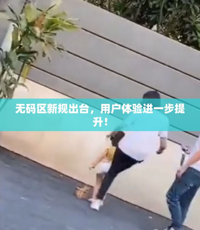无码区新规出台，用户体验进一步提升！