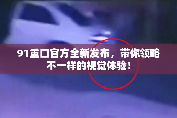 91重口官方全新发布，带你领略不一样的视觉体验！