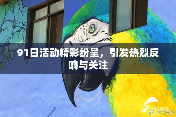 91日活动精彩纷呈，引发热烈反响与关注