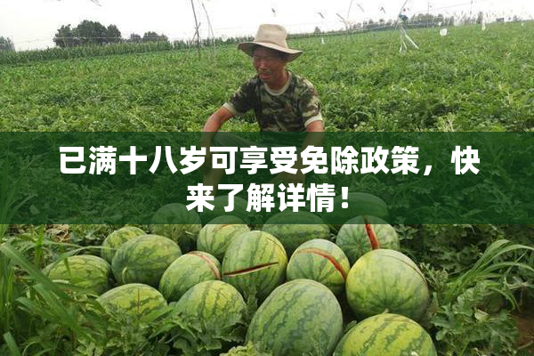 已满十八岁可享受免除政策，快来了解详情！