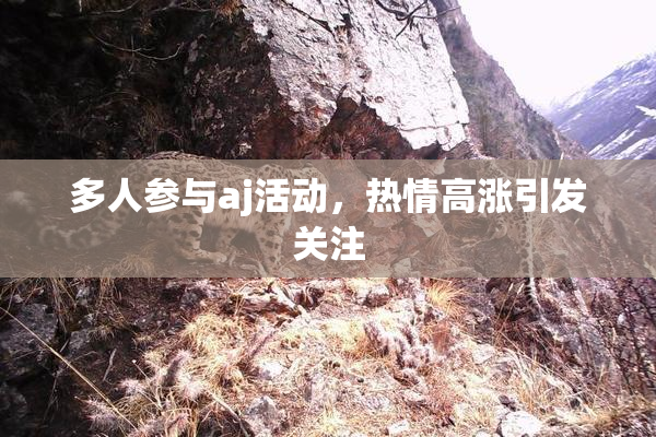 多人参与aj活动，热情高涨引发关注