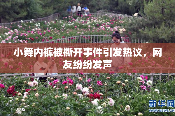小舞内裤被撕开事件引发热议，网友纷纷发声