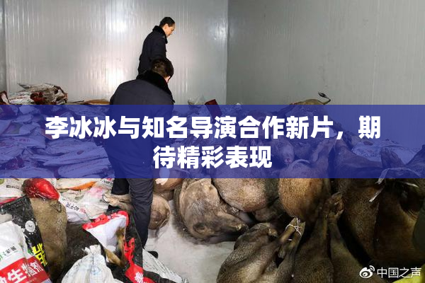 李冰冰与知名导演合作新片，期待精彩表现