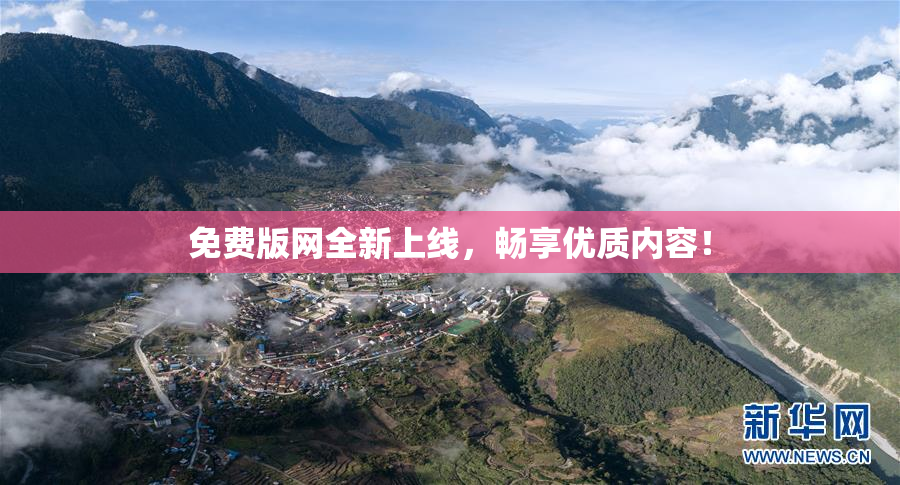 免费版网全新上线，畅享优质内容！