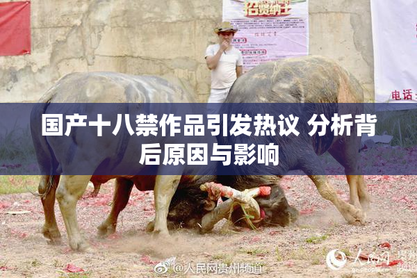 国产十八禁作品引发热议 分析背后原因与影响