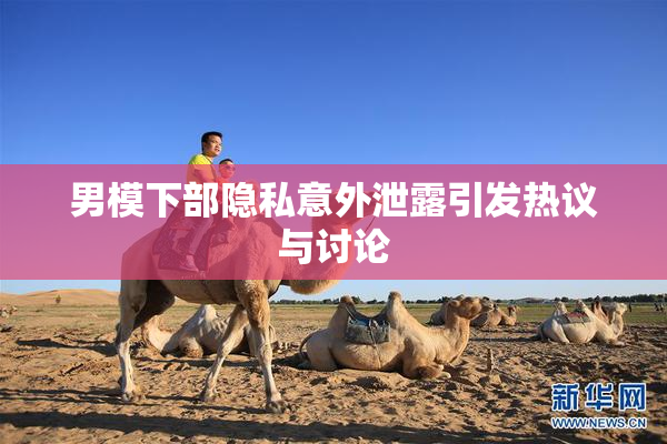男模下部隐私意外泄露引发热议与讨论