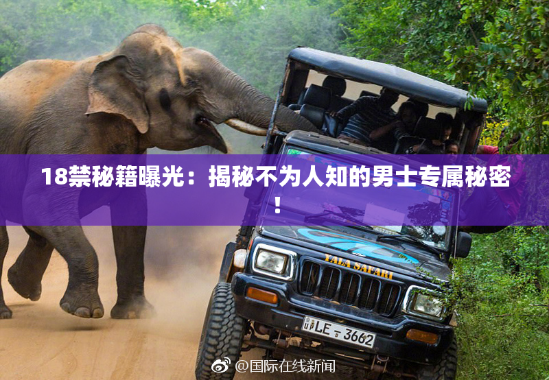 18禁秘籍曝光：揭秘不为人知的男士专属秘密！