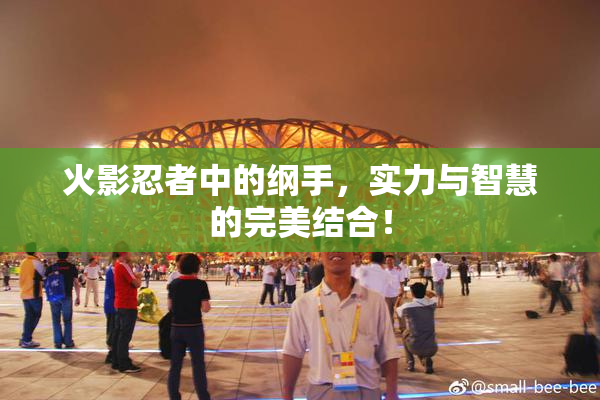 火影忍者中的纲手，实力与智慧的完美结合！