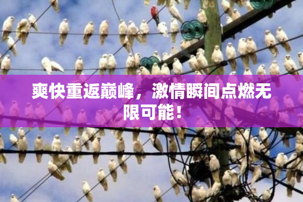 爽快重返巅峰，激情瞬间点燃无限可能！