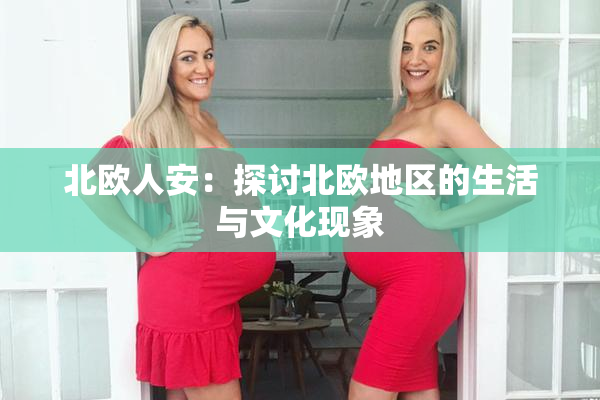 北欧人安：探讨北欧地区的生活与文化现象