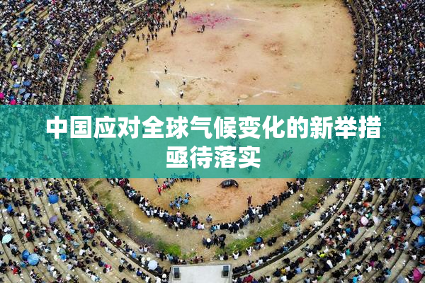 中国应对全球气候变化的新举措亟待落实