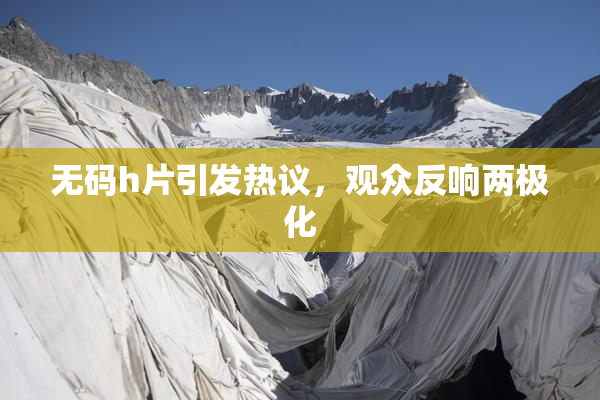 无码h片引发热议，观众反响两极化