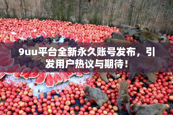 9uu平台全新永久账号发布，引发用户热议与期待！