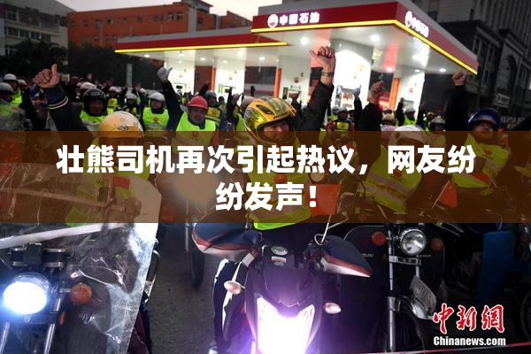 壮熊司机再次引起热议，网友纷纷发声！