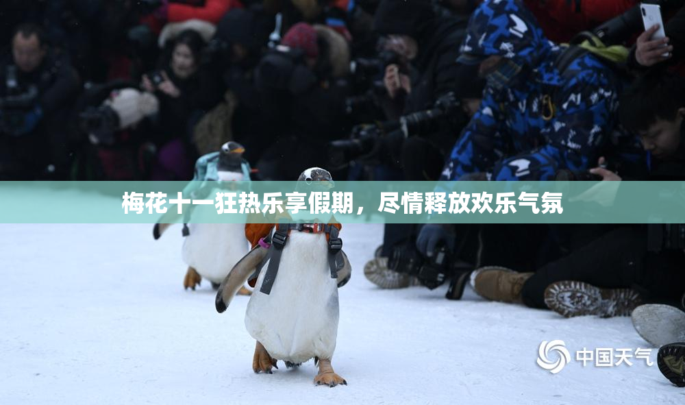 梅花十一狂热乐享假期，尽情释放欢乐气氛