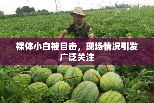 裸体小白被目击，现场情况引发广泛关注