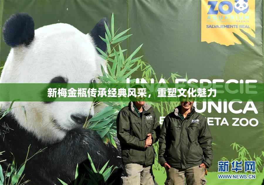 新梅金瓶传承经典风采，重塑文化魅力
