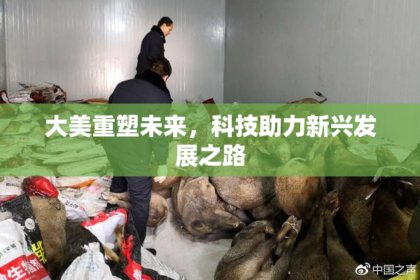大美重塑未来，科技助力新兴发展之路