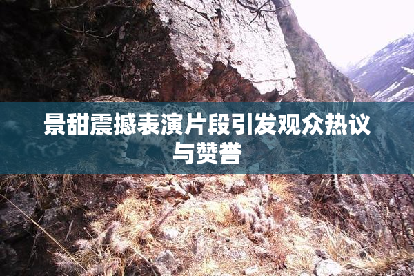 景甜震撼表演片段引发观众热议与赞誉