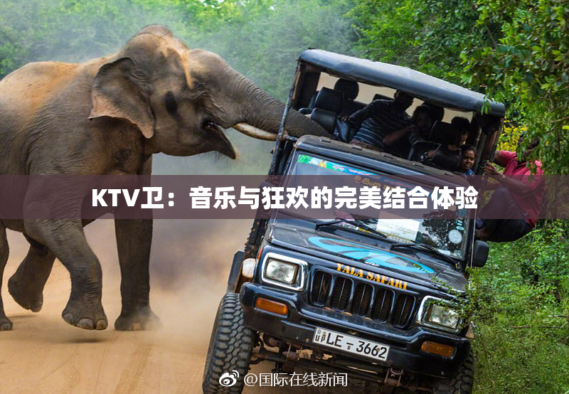 KTV卫：音乐与狂欢的完美结合体验