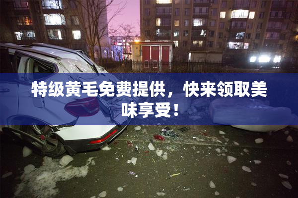 特级黄毛免费提供，快来领取美味享受！