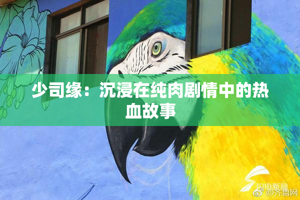 少司缘：沉浸在纯肉剧情中的热血故事