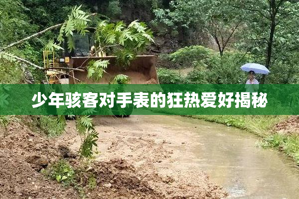 少年骇客对手表的狂热爱好揭秘