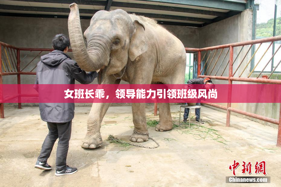 女班长乖，领导能力引领班级风尚