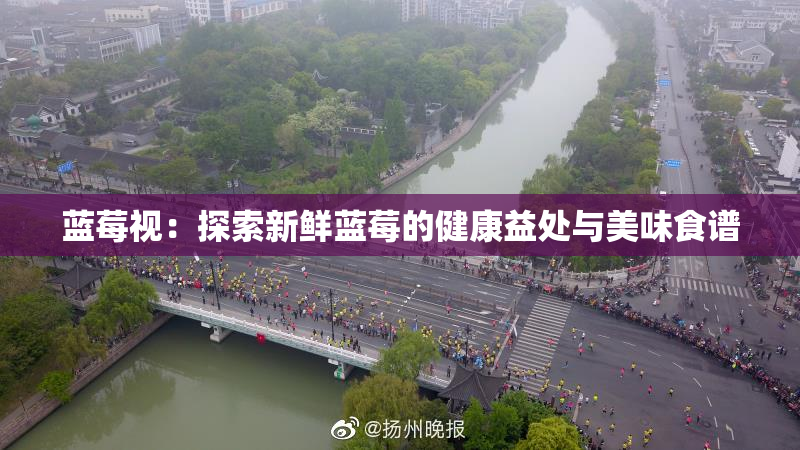 蓝莓视：探索新鲜蓝莓的健康益处与美味食谱