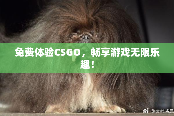 免费体验CSGO，畅享游戏无限乐趣！