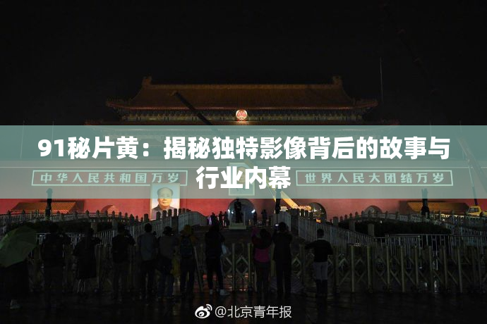 91秘片黄：揭秘独特影像背后的故事与行业内幕