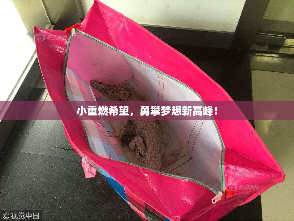 小重燃希望，勇攀梦想新高峰！