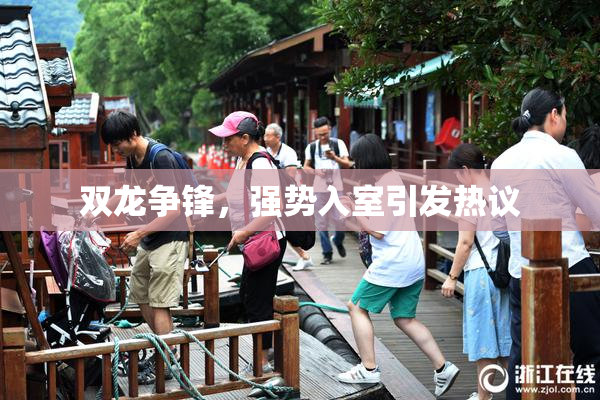 双龙争锋，强势入室引发热议
