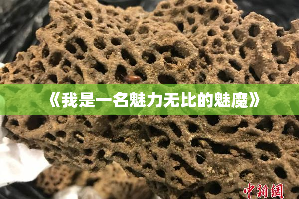 《我是一名魅力无比的魅魔》