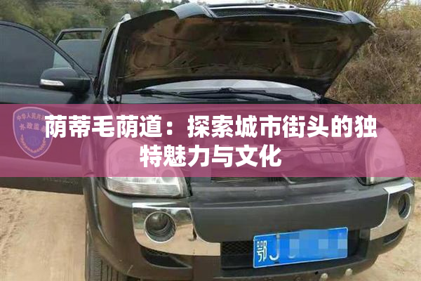 荫蒂毛荫道：探索城市街头的独特魅力与文化