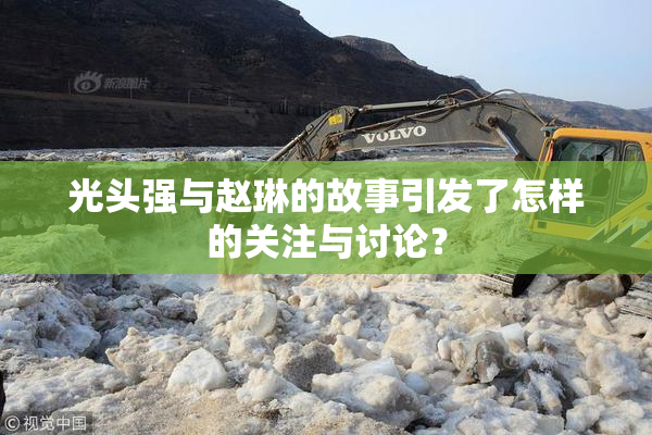 光头强与赵琳的故事引发了怎样的关注与讨论？