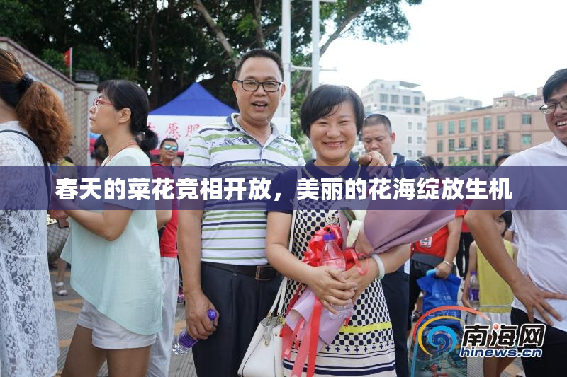 春天的菜花竞相开放，美丽的花海绽放生机
