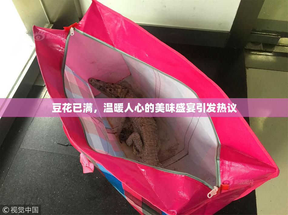 豆花已满，温暖人心的美味盛宴引发热议