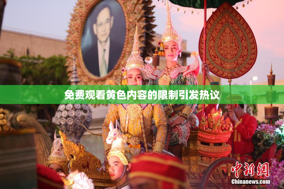 免费观看黄色内容的限制引发热议