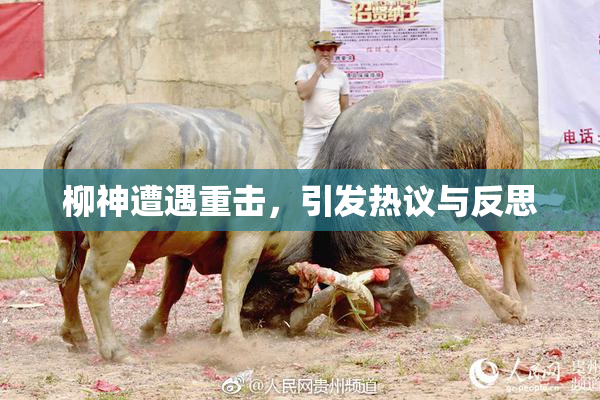 柳神遭遇重击，引发热议与反思