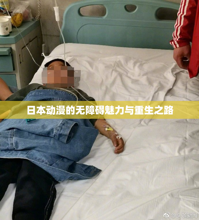 日本动漫的无障碍魅力与重生之路
