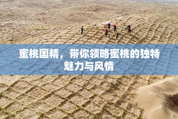 蜜桃国精，带你领略蜜桃的独特魅力与风情