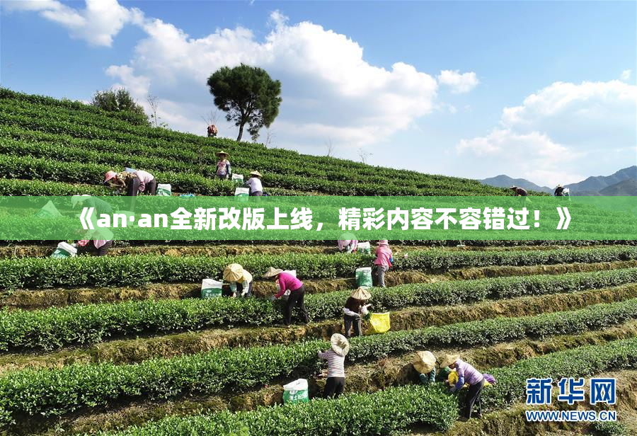 《an·an全新改版上线，精彩内容不容错过！》