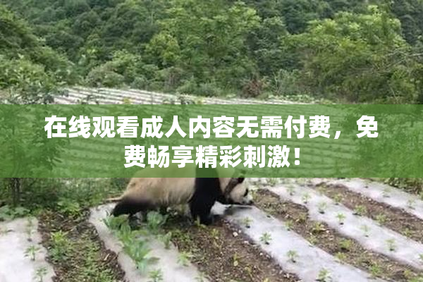 在线观看成人内容无需付费，免费畅享精彩刺激！